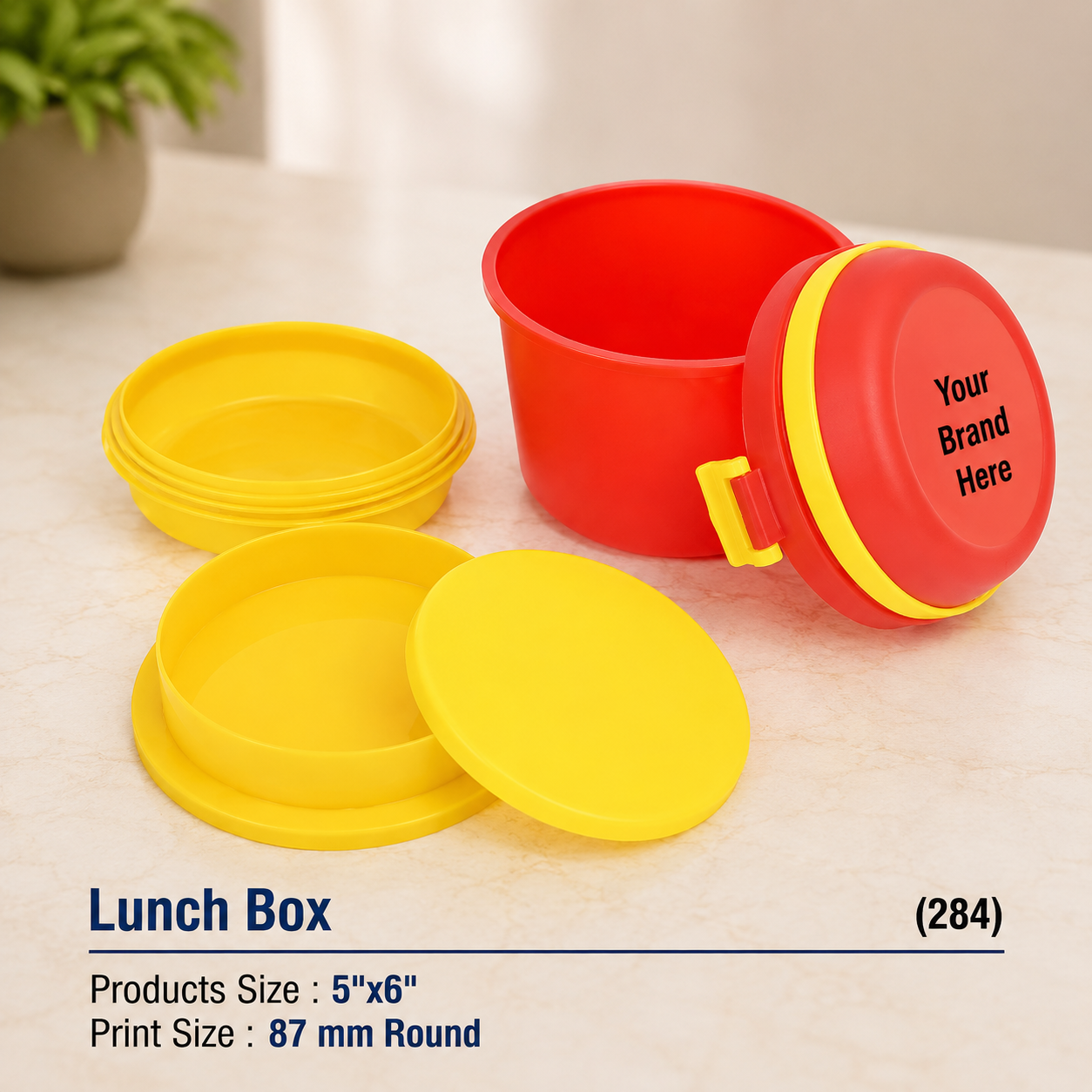 Custom Printed Lunch Box for Corporate Gifting